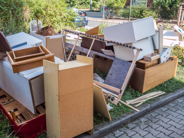 Best Carpet Removal and Disposal  in Hector, MN