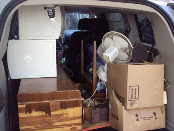 Best Moving and Downsizing Cleanouts  in Hector, MN